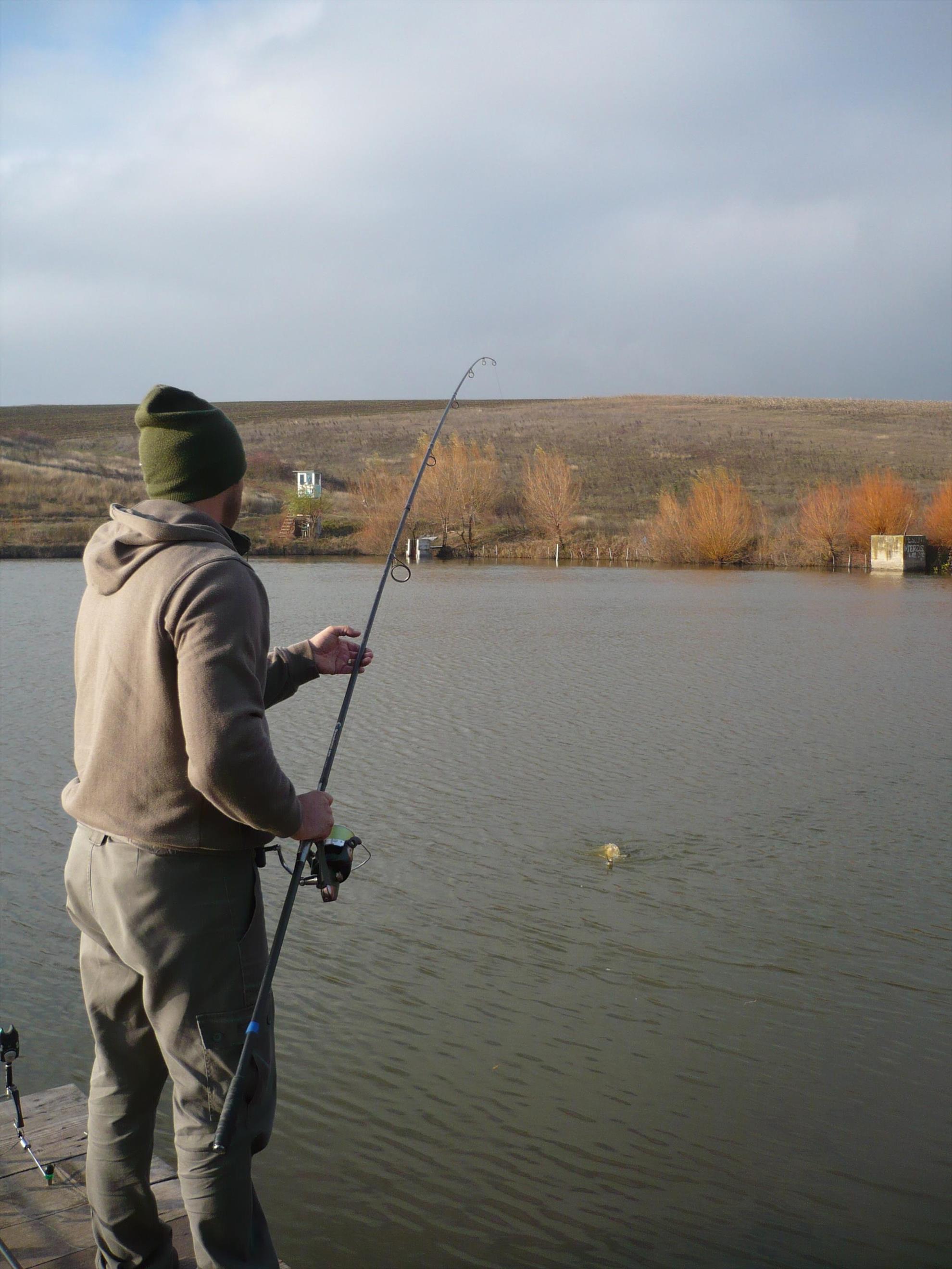 Magura 9 - 23.NOI.2013 - p10200121.JPG